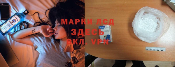 индика Алексин