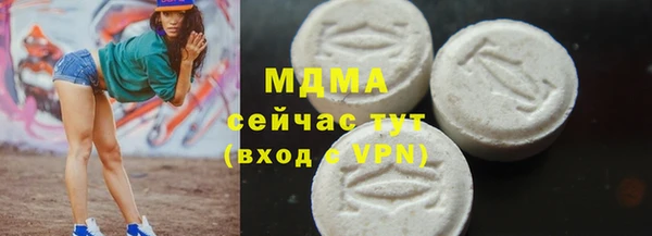 индика Алексин