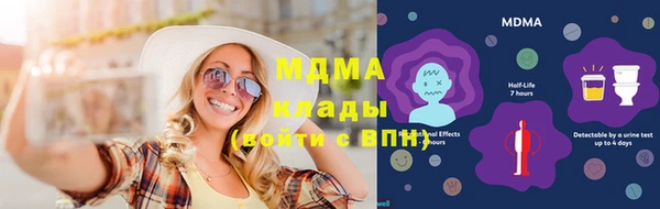 индика Алексин