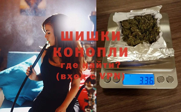 индика Алексин
