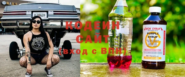 индика Алзамай
