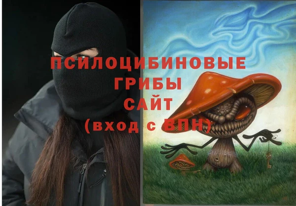 индика Алексин