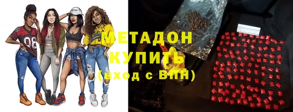 индика Алексин