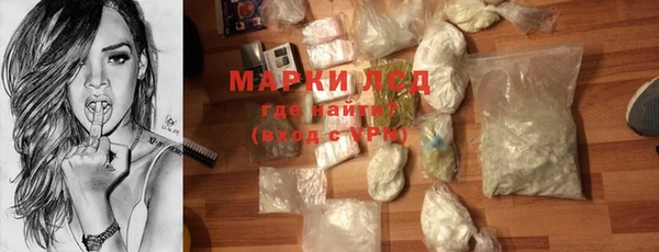 индика Алексин