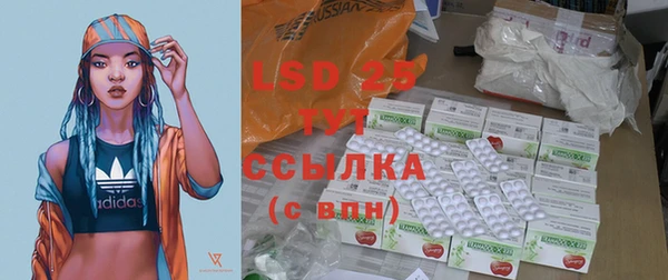 индика Алексин