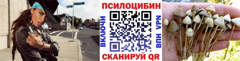 Галлюциногенные грибы мухоморы  Губкин 